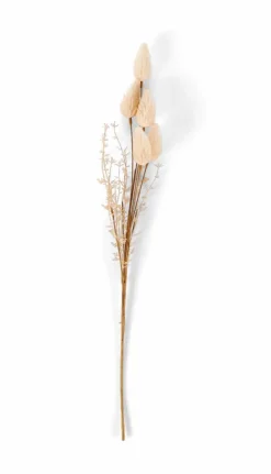 Clearance CASA ADDO Vaso Crema