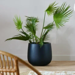 Cheap CASA ARECA Palma Verde