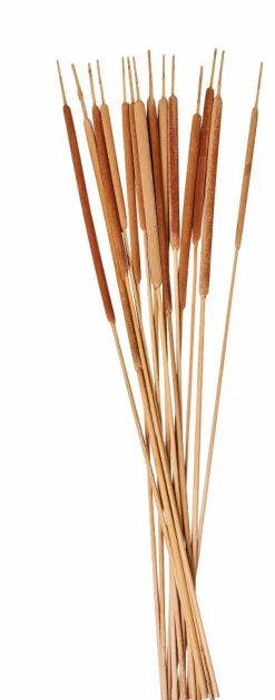 New CASA BAMBOO Cassettiera 2 Cassetti Naturale