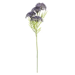 Best CASA BERRY Ramo Da Bacca Rosso
