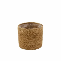 Best Sale CASA CEMENT Pianta Artificiale Grigio