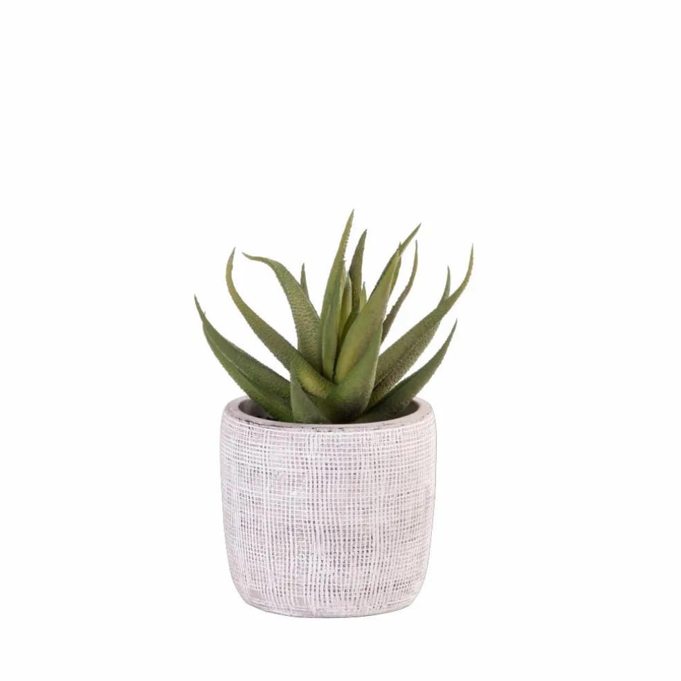 Flash Sale CASA COTTAGE Vaso Da Giardino Indoor/Outdoor