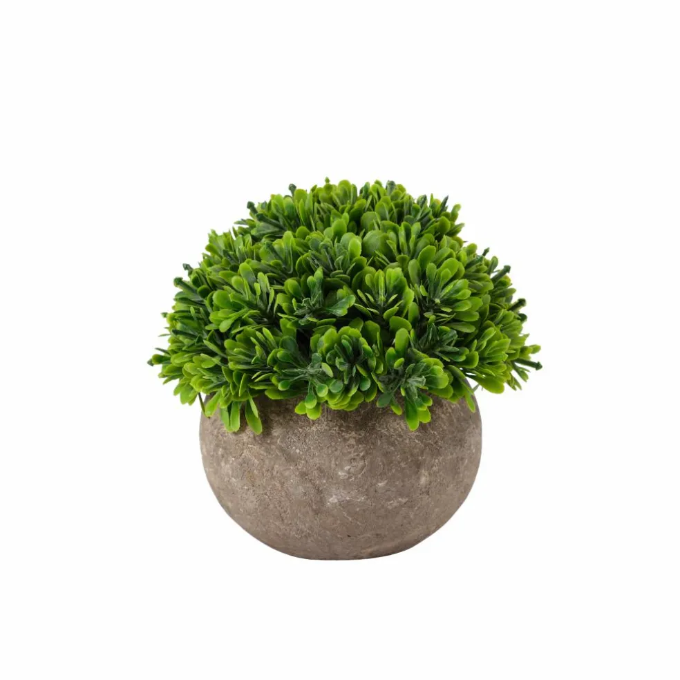 Flash Sale CASA COTTAGE Vaso Da Giardino Indoor/Outdoor