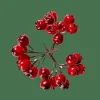 Outlet CASA FOAM Decorazione Cinorrodo Rosso