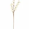 Fashion CASA FROST Larice Bianco
