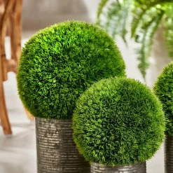 Best Sale CASA GRASS Mazzo Di Erba Rosso