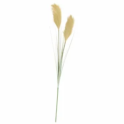 Clearance CASA GRASS Mazzo Di Erba Verde