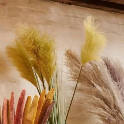 Fashion CASA GRASS Pennacchio Di Canna Verde