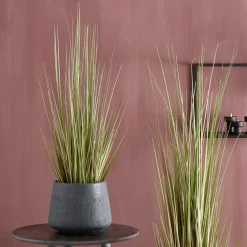 New CASA HERBA Erba In Vaso H120cm Verde