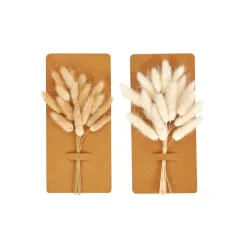 Flash Sale CASA MINA Deco Essiccata Bianco