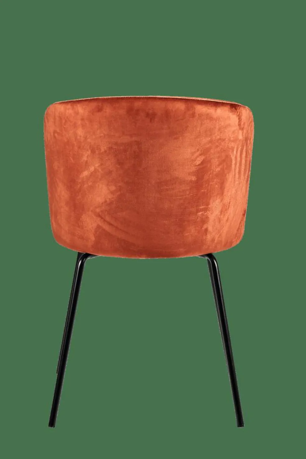 Shop CASA OLIVIER Sedia Da Tavolo MARR Marrone