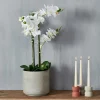 Outlet CASA ORCHID Orchidea In Vaso Bianco