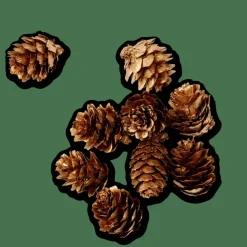 Hot CASA PINECONE Decorazione Sfusa Dorato