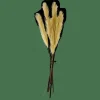 Discount CASA PLUME Pennacchi Decorativi Verde