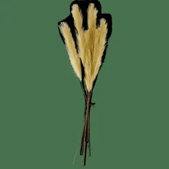Discount CASA PLUME Pennacchi Decorativi Verde