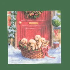 Clearance CASA PUPPIES Set Di 20 Tovaglioli Multicolore