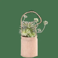 New CASA ROPE Pianta Artificiale In Vaso Sospeso Naturale