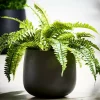 Store CASA SENSE Vaso Da Giardino Nero
