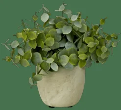 Outlet CASA TERRA Pianta In Vaso Bianco, Verde
